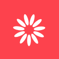 logo icon
